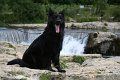 Onyx in La Roque-sur-Cèze (3)